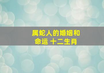 属蛇人的婚姻和命运 十二生肖